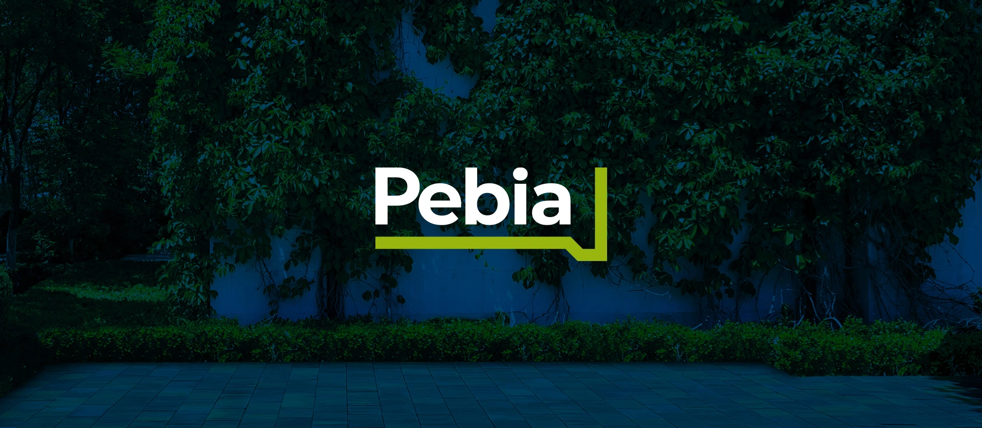 Pebia Logo